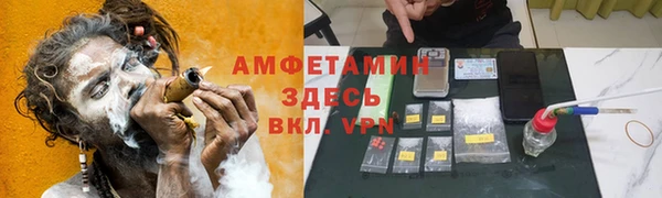 сатива Армянск