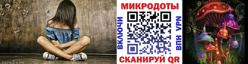 Псилоцибиновые грибы мухоморы  где купить наркоту  Нижний Ломов 